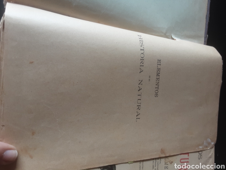 Libros de segunda mano: Historia natural. -E. Ribera- - Foto 4