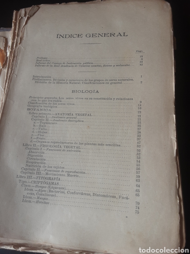 Libros de segunda mano: Historia natural. -E. Ribera- - Foto 6