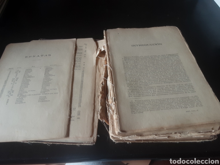 Libros de segunda mano: Historia natural. -E. Ribera- - Foto 7