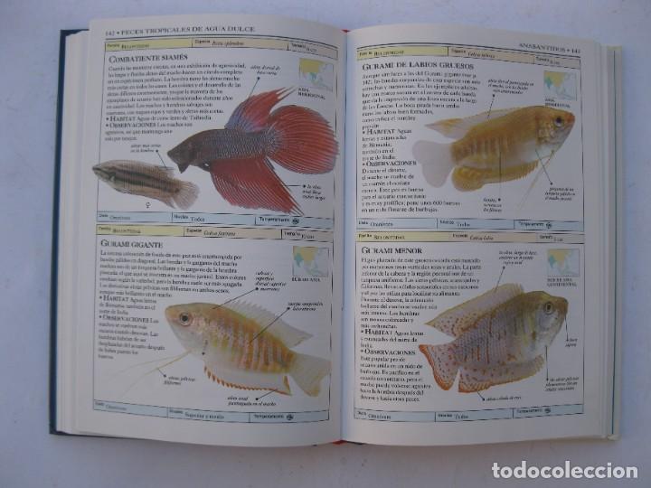 Libros de segunda mano: PECES DE ACUARIO - DICK MILLS - EDICIONES OMEGA - A&Ntilde;O 2001. - Foto 2