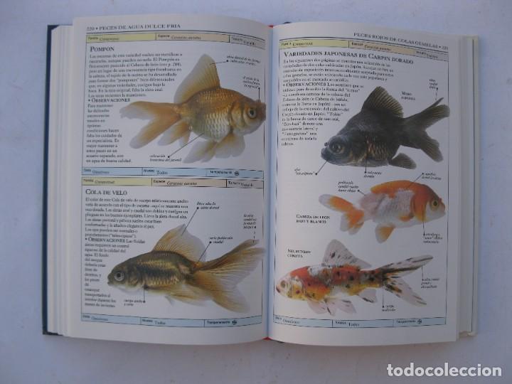 Libros de segunda mano: PECES DE ACUARIO - DICK MILLS - EDICIONES OMEGA - A&Ntilde;O 2001. - Foto 3
