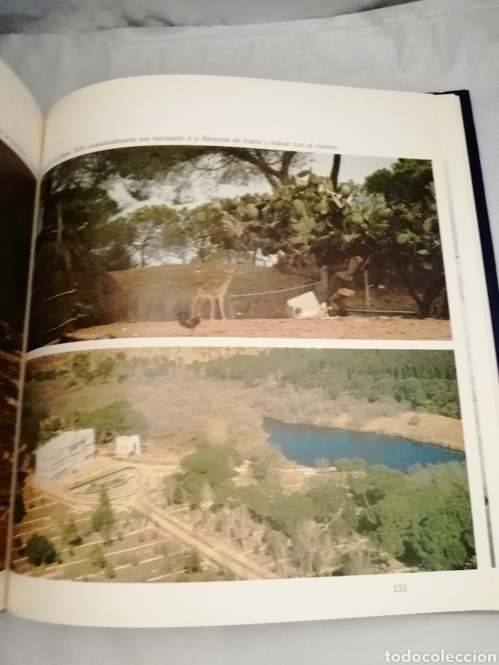 Libros de segunda mano: EL MUNDO DE DO&Ntilde;ANA - Foto 7