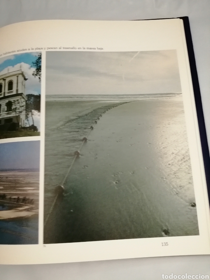 Libros de segunda mano: EL MUNDO DE DO&Ntilde;ANA - Foto 8