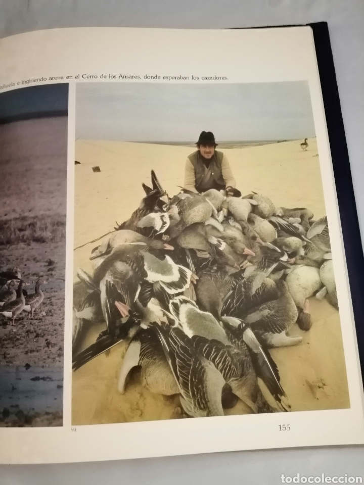 Libros de segunda mano: EL MUNDO DE DO&Ntilde;ANA - Foto 9