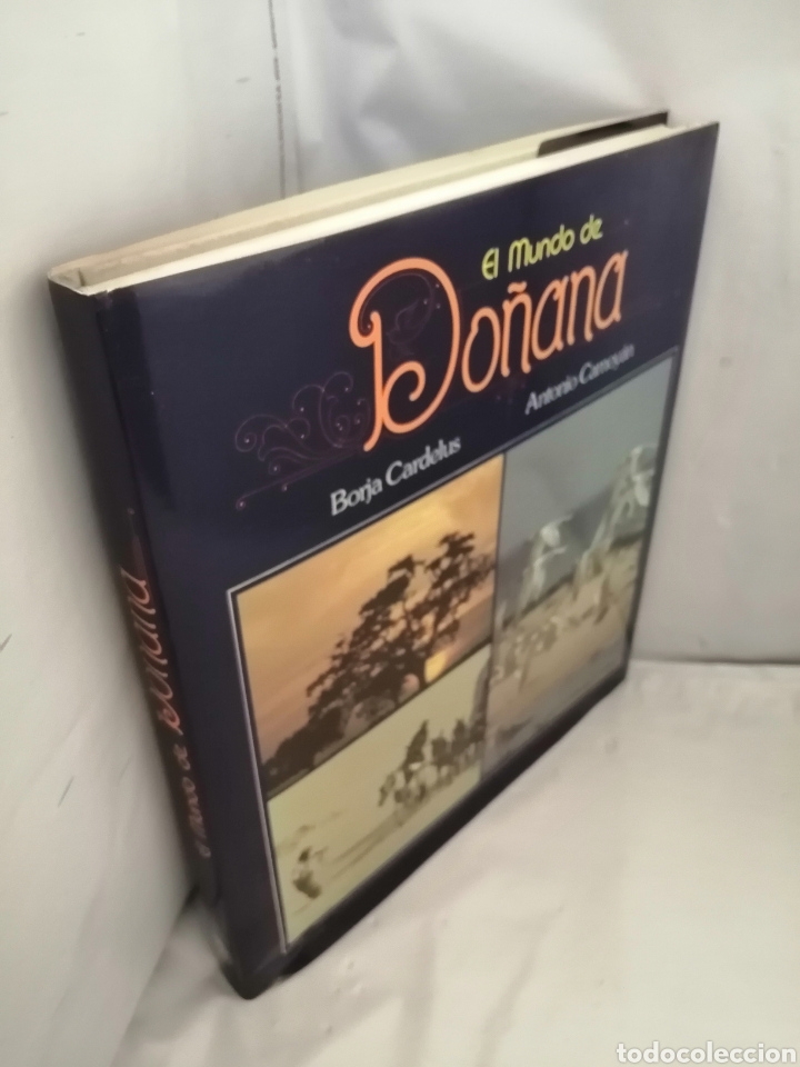 Libros de segunda mano: EL MUNDO DE DO&Ntilde;ANA - Foto 10