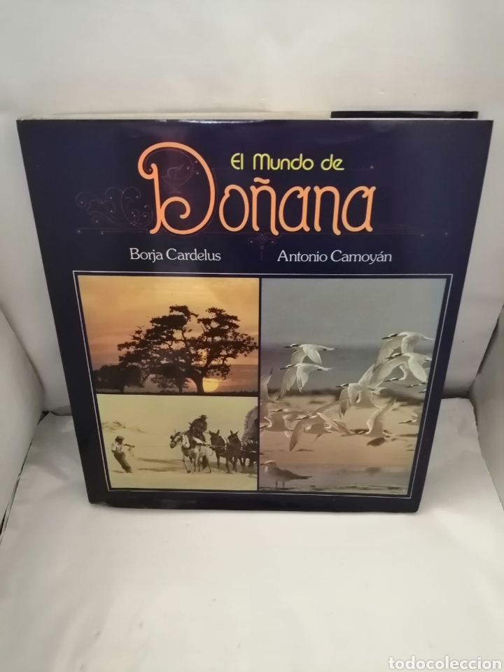 Libros de segunda mano: EL MUNDO DE DO&Ntilde;ANA - Foto 1
