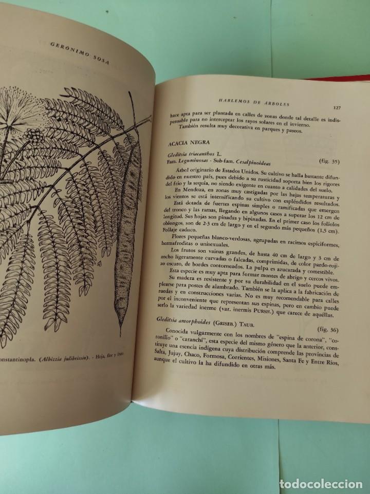 Libros de segunda mano: HABLEMOS DE ARBOLES - Ger&oacute;nimo Sosa - Foto 2