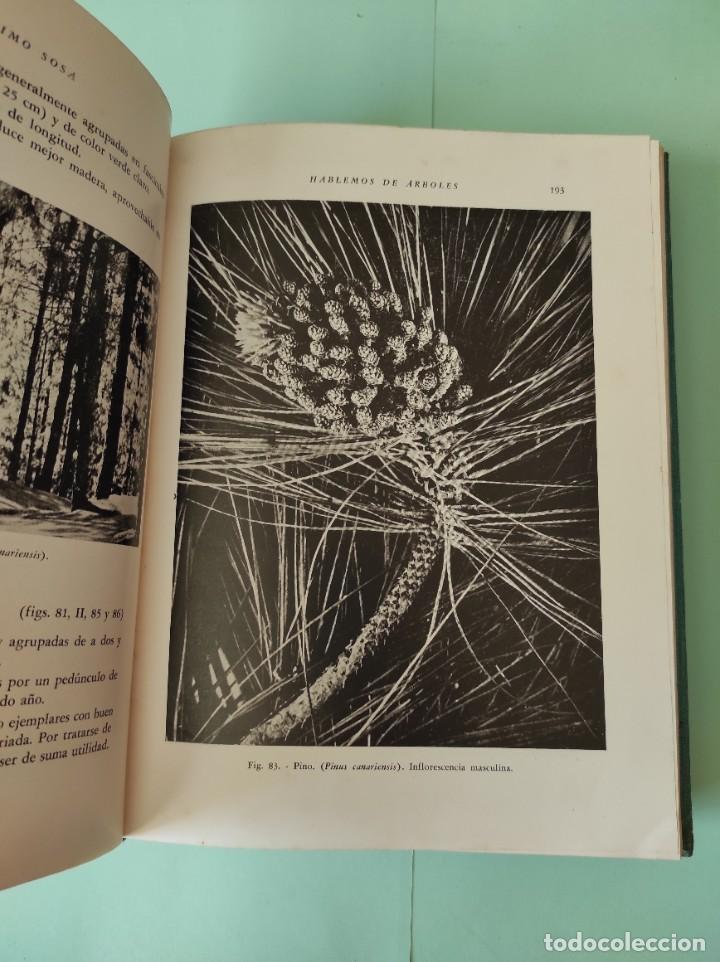 Libros de segunda mano: HABLEMOS DE ARBOLES - Ger&oacute;nimo Sosa - Foto 3