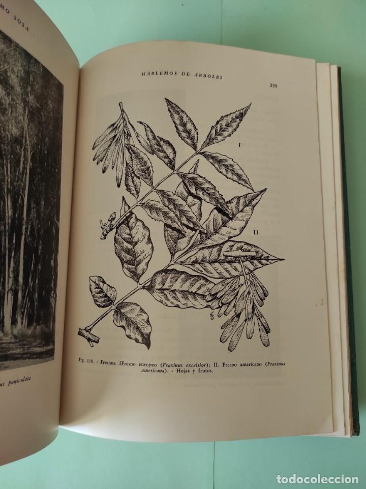 Libros de segunda mano: HABLEMOS DE ARBOLES - Ger&oacute;nimo Sosa - Foto 4
