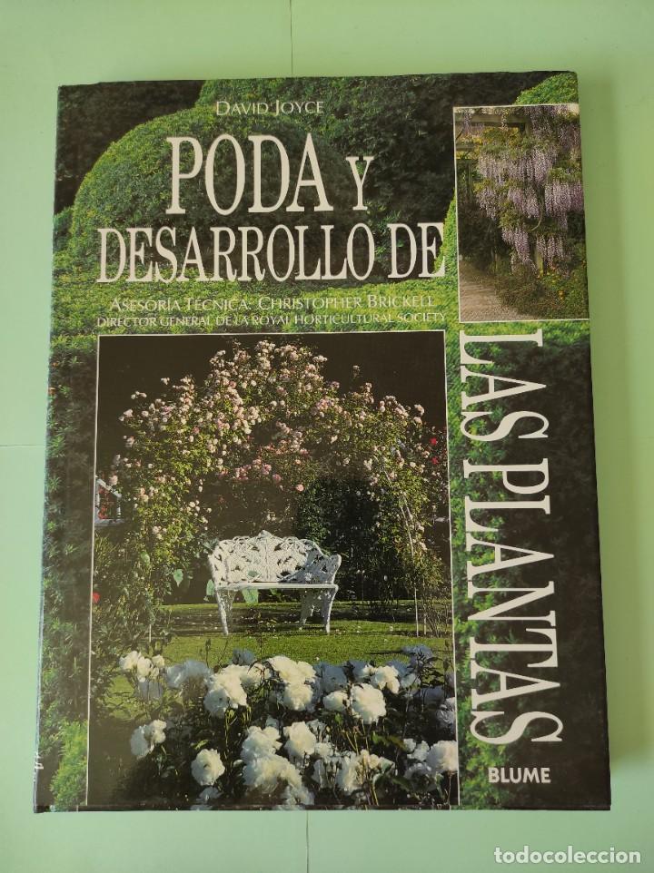 Libros de segunda mano: PODA Y DESARROLLO DE LAS PLANTAS - David Joyce - Foto 1