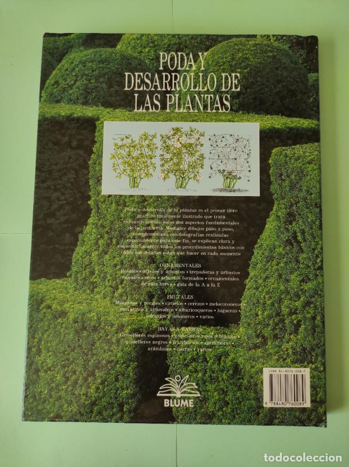 Libros de segunda mano: PODA Y DESARROLLO DE LAS PLANTAS - David Joyce - Foto 2