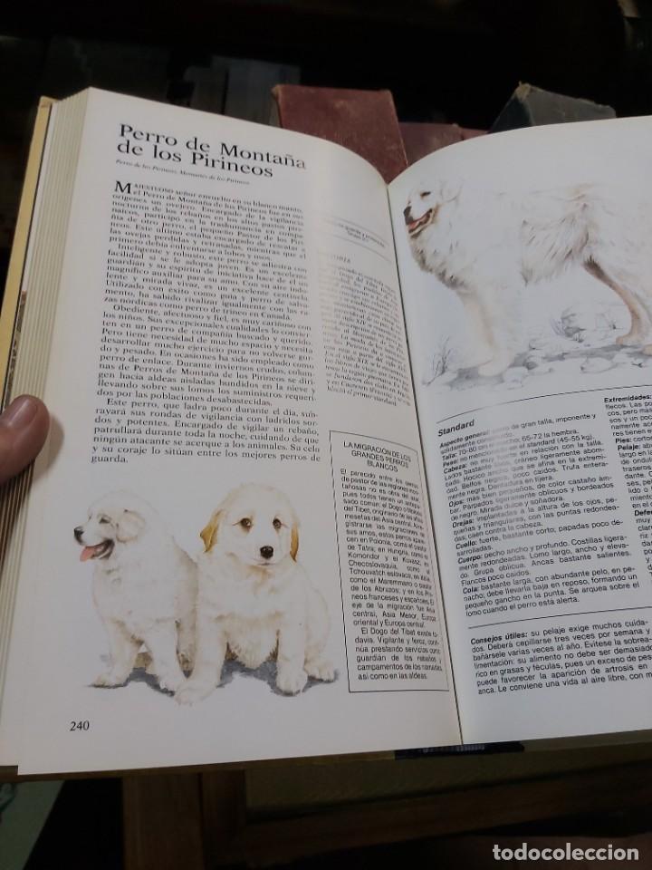 Libros de segunda mano: NUESTRO AMIGO EL PERRO. SELECCIONES DEL READERS DIGEST - Foto 4