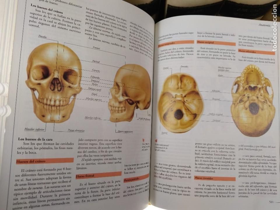 Libros de segunda mano: ATLAS VISUAL DE LAS CIENCIAS. Con CD-Rom interactivo versi&oacute;n Windows. Oceano 1999 ISBN 8449413087 - Foto 7