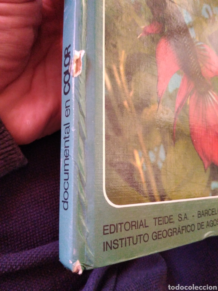 Libros de segunda mano: Peces de acuario editorial Teide - Foto 8