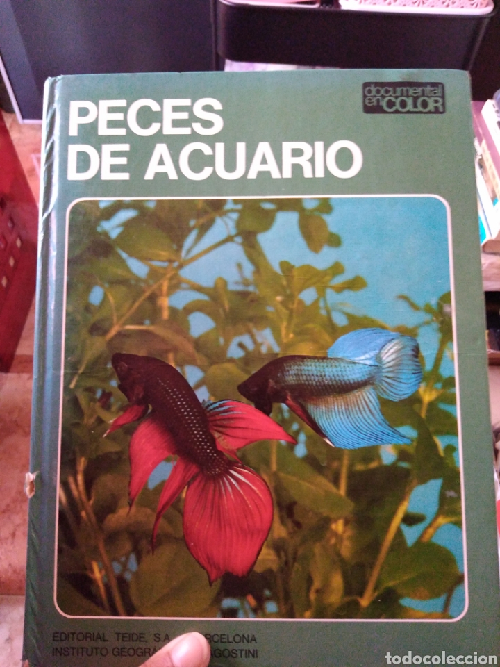 Libros de segunda mano: Peces de acuario editorial Teide - Foto 1
