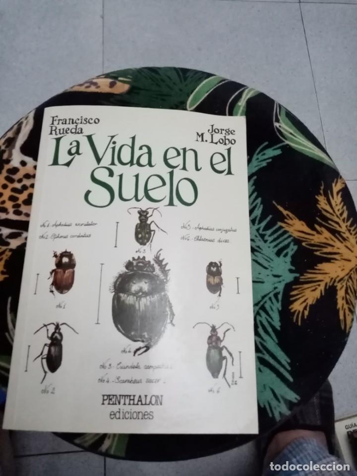 Libros de segunda mano: LA VIDA EN EL SUELO . EST14B2 - Foto 1