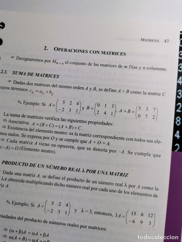 Libros de segunda mano de ciencias: MATEM&Aacute;TICAS F&Aacute;CILES (Francisco S&aacute;nchez Fern&aacute;ndez) - Foto 3