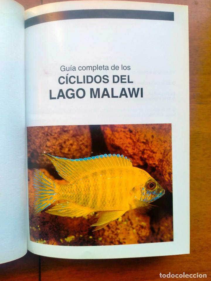 Libros de segunda mano: Gu&iacute;a completa de los ciclidos del lago Malawi. Mary Sweeney - Foto 2