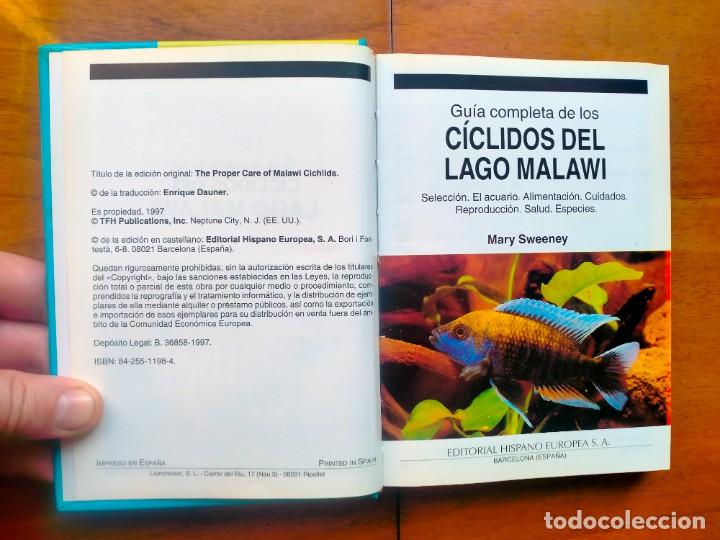Libros de segunda mano: Gu&iacute;a completa de los ciclidos del lago Malawi. Mary Sweeney - Foto 3
