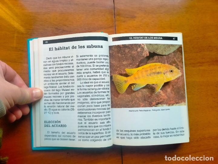 Libros de segunda mano: Gu&iacute;a completa de los ciclidos del lago Malawi. Mary Sweeney - Foto 7