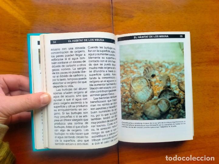 Libros de segunda mano: Gu&iacute;a completa de los ciclidos del lago Malawi. Mary Sweeney - Foto 8