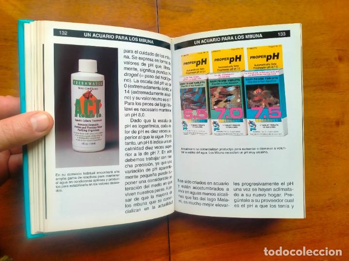 Libros de segunda mano: Gu&iacute;a completa de los ciclidos del lago Malawi. Mary Sweeney - Foto 9