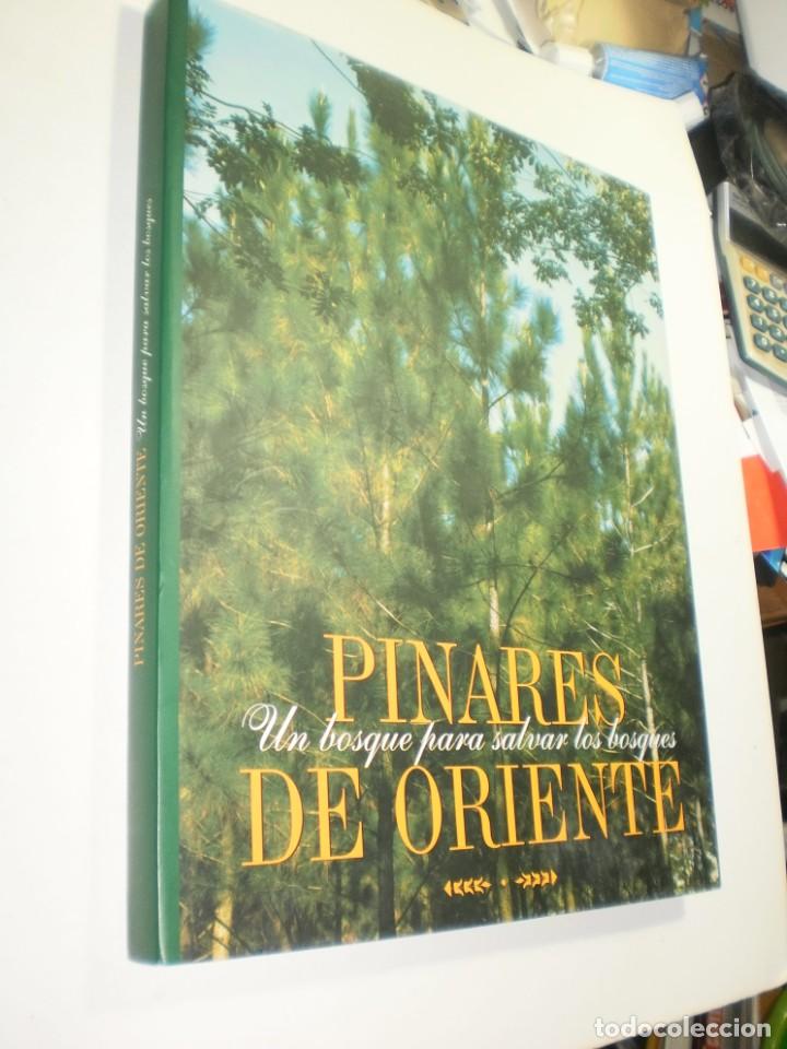Libros de segunda mano: pinares de oriente. un bosque para salvar los bosques. cvg proforca 1998 venezuela (seminuevo)