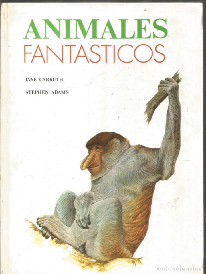 Libros de segunda mano: JANE CARRUTH STEPHEN ADAMS. ANIMALES FANTASTICOS. EDITORIAL RM - Foto 1