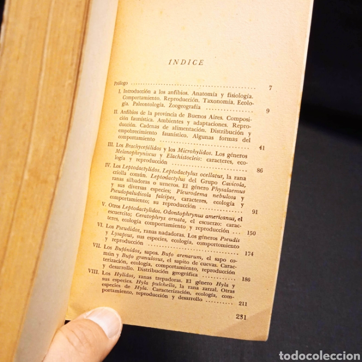 Libros de segunda mano: ANFIBIOS DE LOS ALREDEDORES DE BUENOS AIRES - JOS&Eacute; M GALLARDO- EUDEBA - Foto 3
