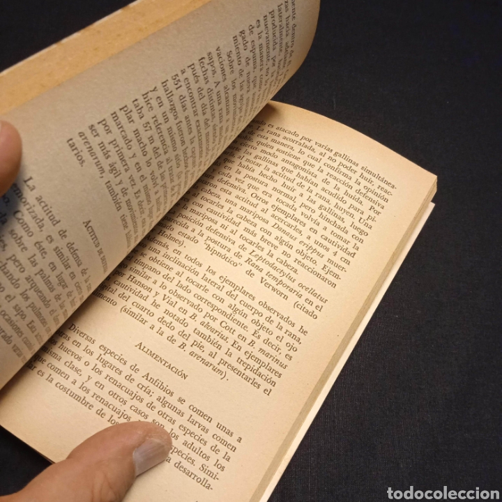 Libros de segunda mano: ANFIBIOS DE LOS ALREDEDORES DE BUENOS AIRES - JOS&Eacute; M GALLARDO- EUDEBA - Foto 6