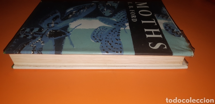 Libros de segunda mano: libro the moths a&ntilde;o 1976 en ingles - Foto 2