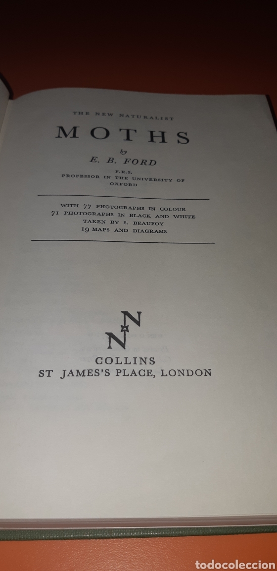 Libros de segunda mano: libro the moths a&ntilde;o 1976 en ingles - Foto 3