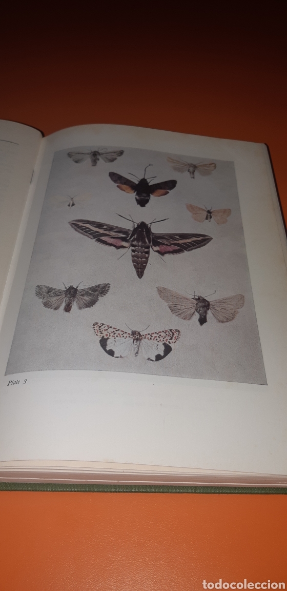 Libros de segunda mano: libro the moths a&ntilde;o 1976 en ingles - Foto 4