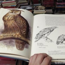 Libros de segunda mano: EDWARD LEAR'S BIRDS . SUSAN HYMANWELLFLEET PRESS. 1980 . PÁJAROS, DIBUJOS, ILUSTRACIONES. Lote 298544103