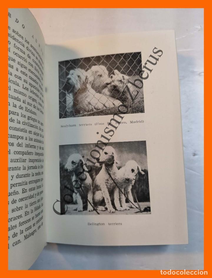 Libros de segunda mano: El Perro ese amigo desconocido - Eduardo Aunos - Foto 2
