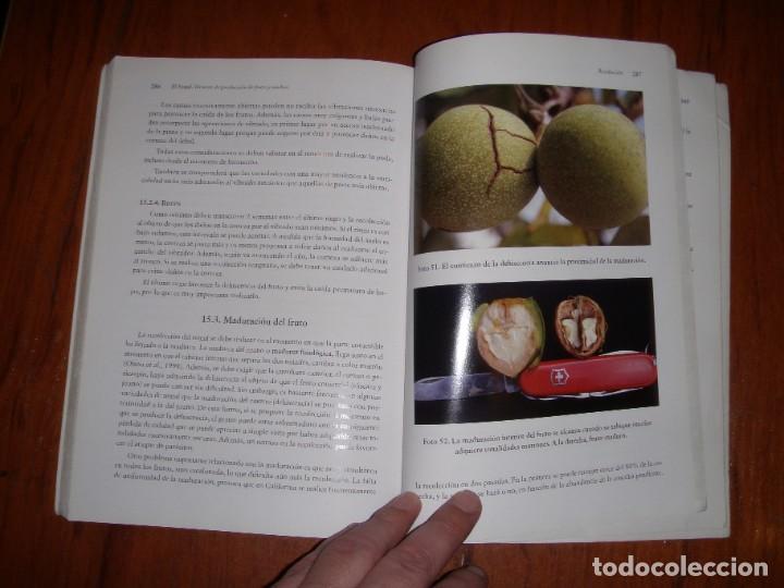 Libros de segunda mano: EL NOGAL MANUEL MUNCHARAZ POU - Foto 5