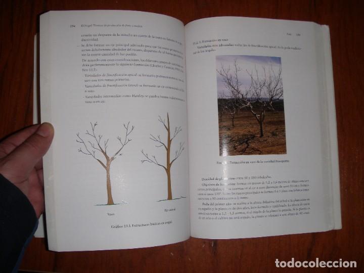 Libros de segunda mano: EL NOGAL MANUEL MUNCHARAZ POU - Foto 8