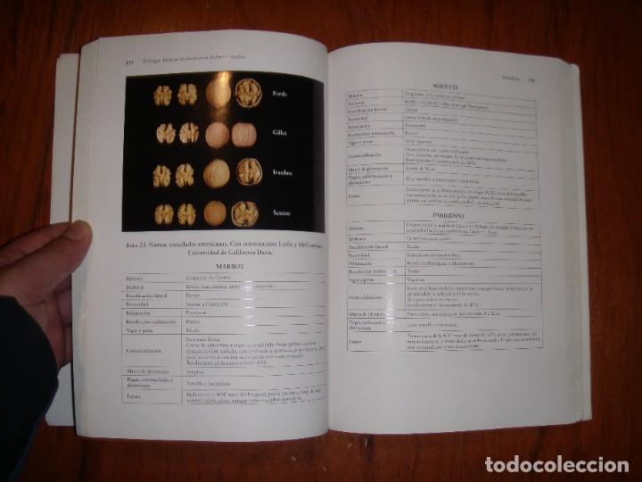 Libros de segunda mano: EL NOGAL MANUEL MUNCHARAZ POU - Foto 9