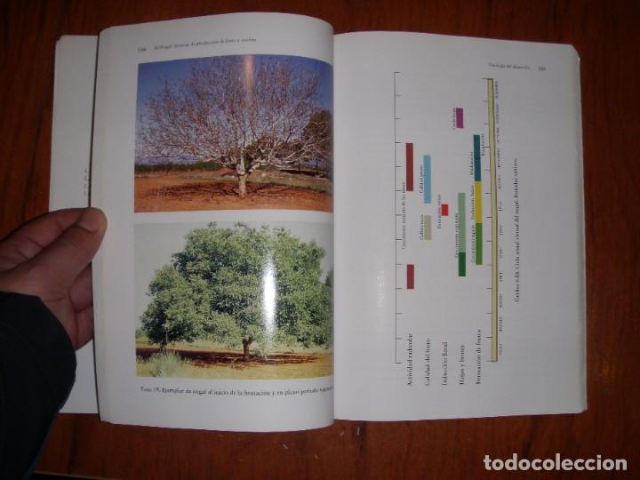Libros de segunda mano: EL NOGAL MANUEL MUNCHARAZ POU - Foto 11