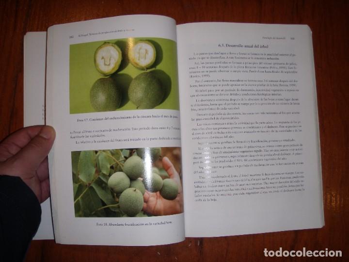 Libros de segunda mano: EL NOGAL MANUEL MUNCHARAZ POU - Foto 12