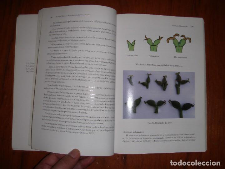 Libros de segunda mano: EL NOGAL MANUEL MUNCHARAZ POU - Foto 13