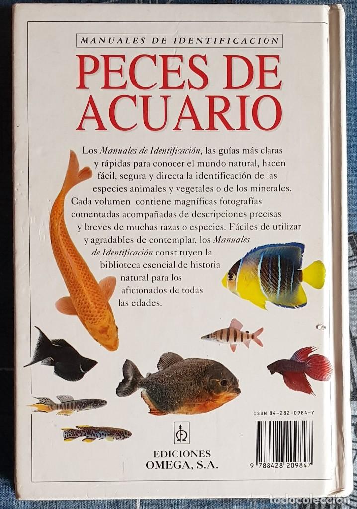 Libros de segunda mano: LIBRO PECES DE ACUARIO. MANUAL IDENTIFICACION. - Foto 2