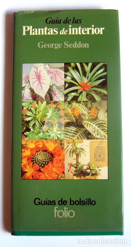 Libros de segunda mano: GUIA DE LAS PLANTAS DE INTERIOR - GEORGE SEDDON - EDICIONES FOLIO. 1981 - Foto 1