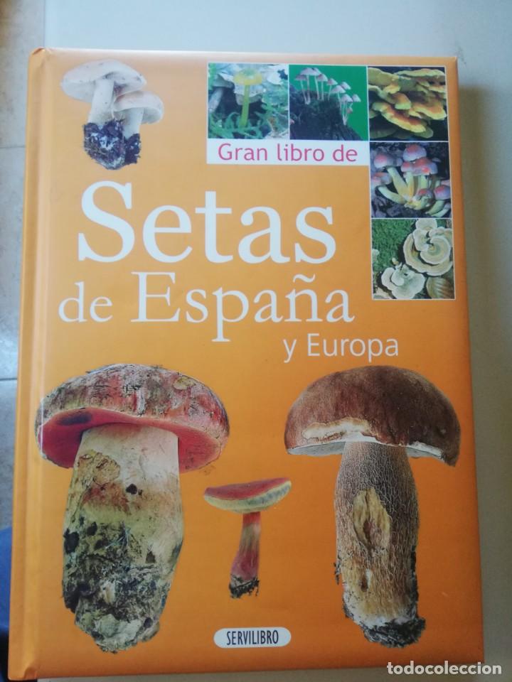 Libros de segunda mano: SETAS Y HONGOS DE ESPA&Ntilde;A - Foto 1