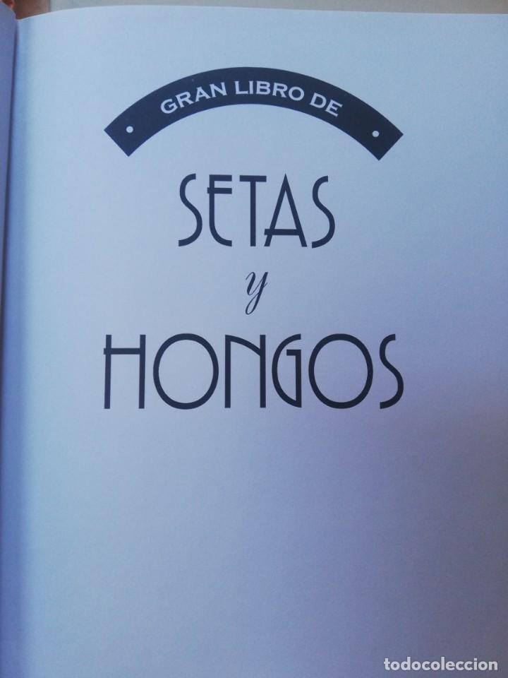 Libros de segunda mano: SETAS Y HONGOS DE ESPA&Ntilde;A - Foto 4