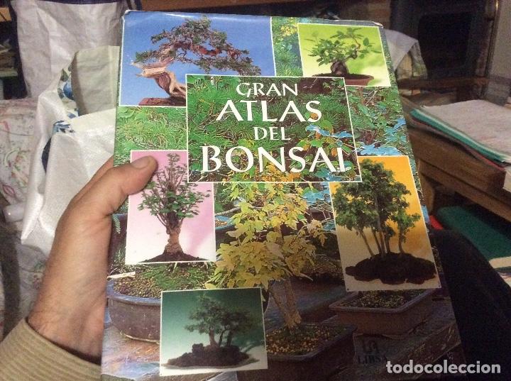 Libros de segunda mano: Gran Atlas del bons&aacute;i . Editorial Libsa 1999 - Foto 1