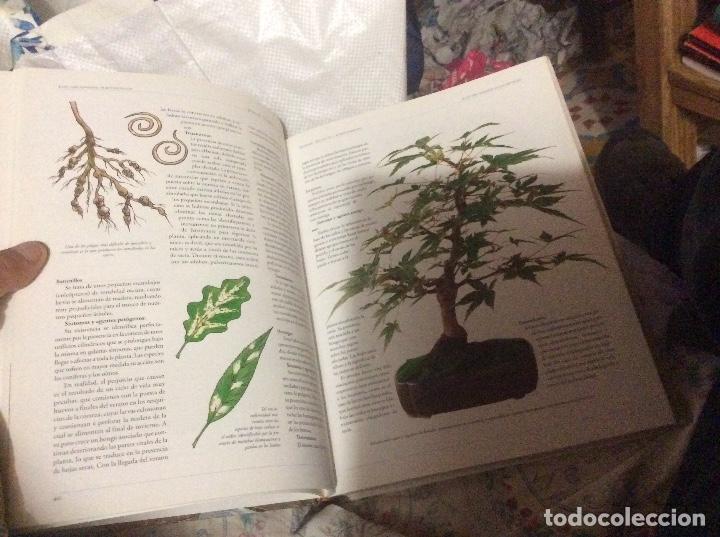 Libros de segunda mano: Gran Atlas del bons&aacute;i . Editorial Libsa 1999 - Foto 2