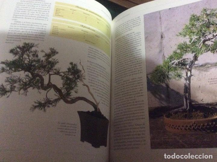 Libros de segunda mano: Gran Atlas del bons&aacute;i . Editorial Libsa 1999 - Foto 5