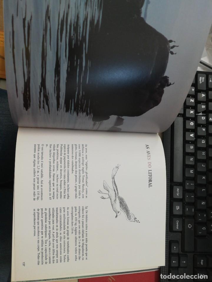 Libros de segunda mano: Onde Galicia &eacute; mar. VV.AA. 1993 - Foto 4