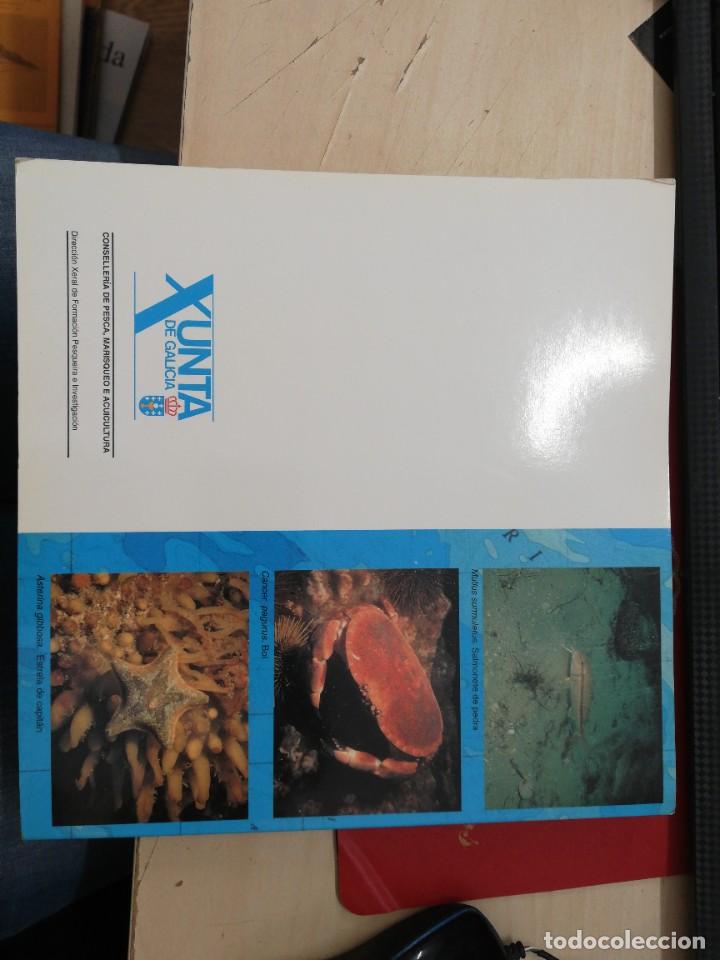 Libros de segunda mano: Onde Galicia &eacute; mar. VV.AA. 1993 - Foto 5